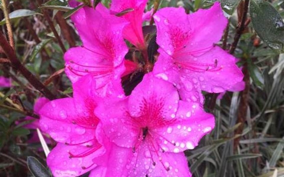 image042