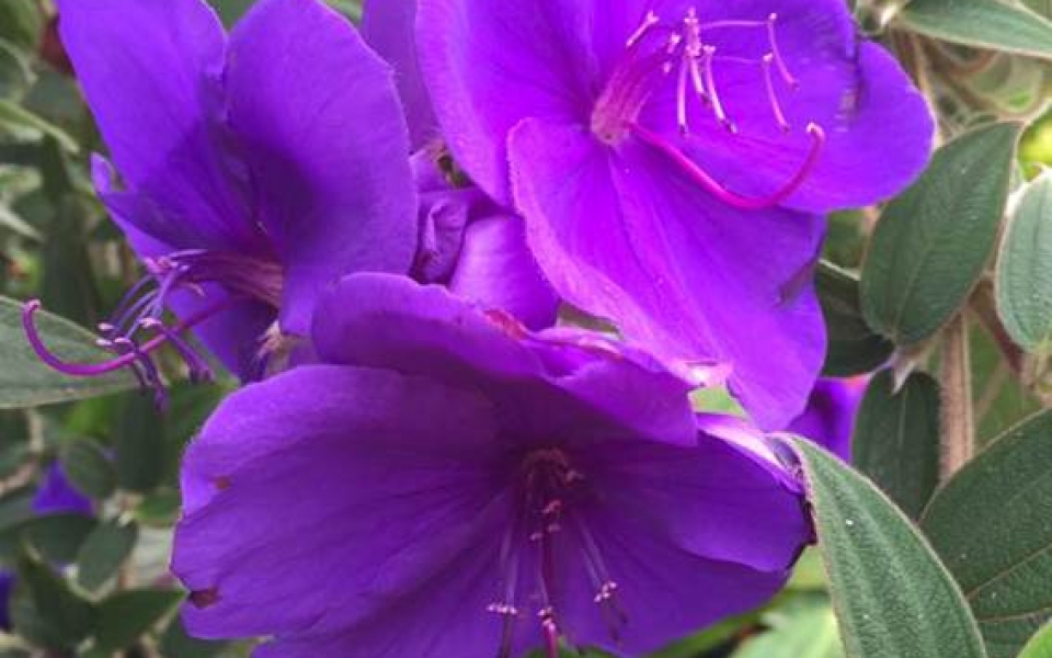 image054